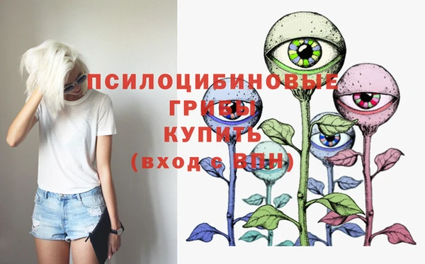 ешки Балахна