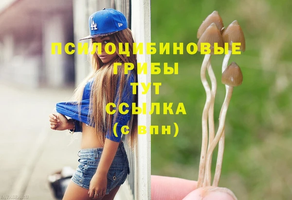 ешки Балахна