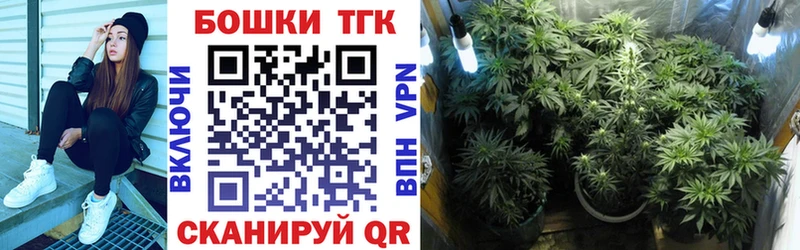 Канабис семена Великий Устюг